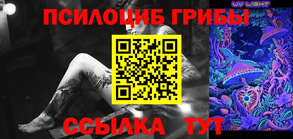 Галлюциногенные грибы Psilocybine cubensis Черняховск