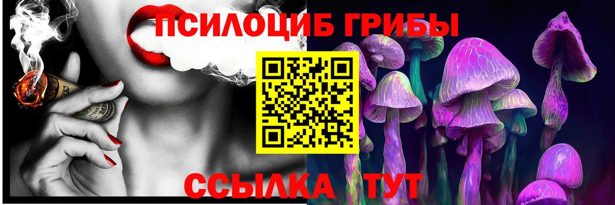 закладки  Псилоцибиновые грибы MAGIC MUSHROOMS  Вход с VPN  Черняховск  Псилоцибиновые грибы Psilocybe 